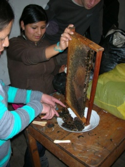 Peru-Cuzco-ochutnavka-medu2