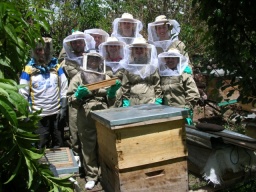 Peru-u-vcelara-Urubambe