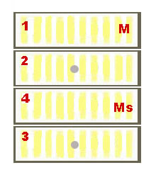 Máj, v prvej polovici mesiaca rozširujeme úľový priestor