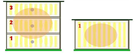 Zimovanie v rozdielnych úľových systémoch