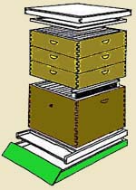 Systém Jumbo Dadant