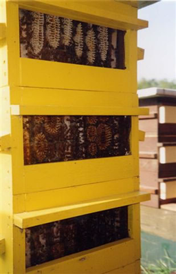 Warre úľ – prírodný, jednoduchý a úspešný