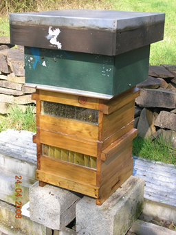 Warre úľ – prírodný, jednoduchý a úspešný