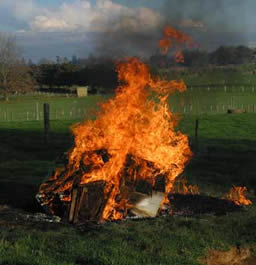 Spálenie včelstiev na Novom Zélande infikovaných morom včelieho plodu - American Foolbrood
