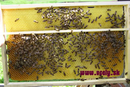 Vystavaný stavebný rámik