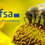 Pesticídy a včely: prehľad usmernení EFSA