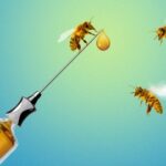 Vakcína proti včelám medonosným, prvá vo svojej triede, získava podmienečnú licenciu