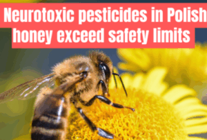 Neurotoxické pesticídy v poľskom medu presahujú bezpečnostné limity